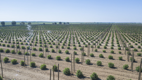Tilray-093.jpg