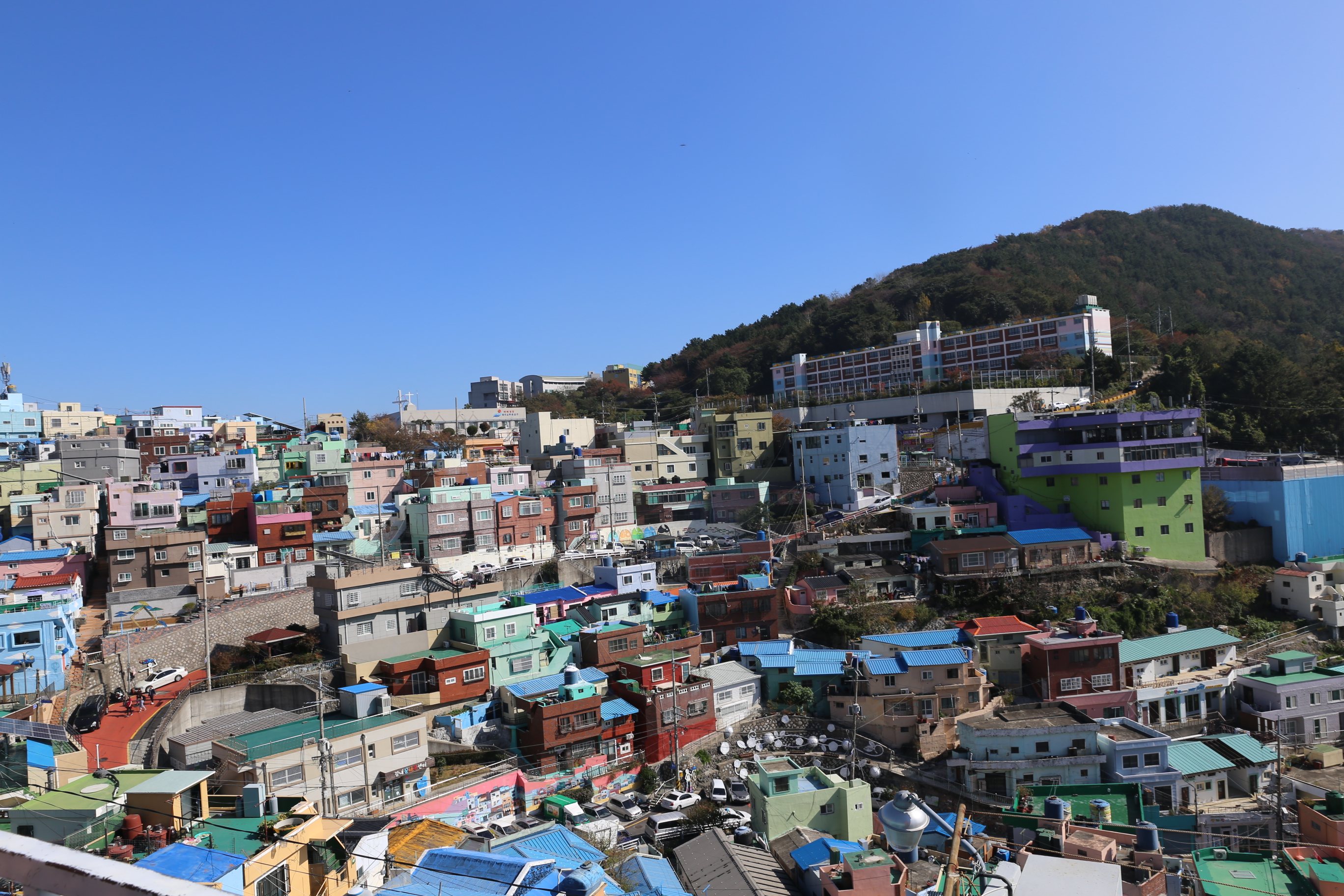 몽실종가-1.jpg
