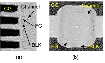 IEDM_fig1.jpg