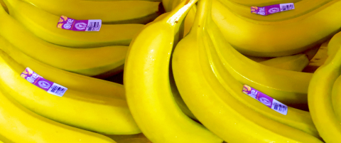 banano_organico.jpg